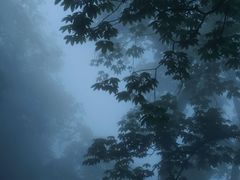 -武当山风景区