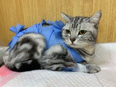 -美联众合动物医院·24h京西诊疗中心