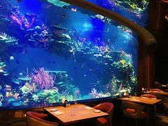 -迪拜帆船酒店海底餐厅