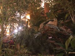 景观位-绿色时代大酒店