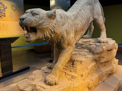 -鄂尔多斯青铜器博物馆