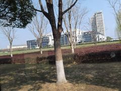 -苏州湾体育公园