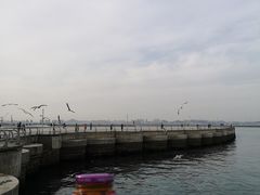 -东港音乐喷泉广场