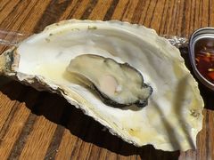 -蚝堡海鲜·威海菜·海肠捞饭·烧烤·亚洲吃蚝公司(幸福门店)
