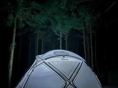 -重庆睡佛山森林公园