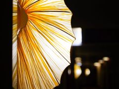 -中铁花水湾温泉酒店(大邑店)