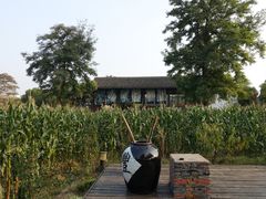 -田园东方蜜桃村的田野营地