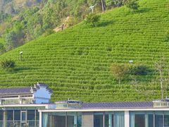 -安吉涵田度假村·水榭居中餐厅