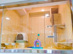 -萌兽医馆·宠物医院·猫骨科(创景店)