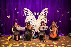 -上海万豪虹桥大酒店·宴会厅