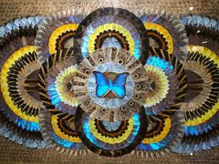 -上海昆虫博物馆