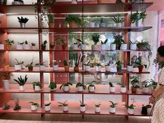 -二酉书店TOYOU BOOKS