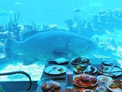 -海棠湾洲际-涛·海底餐厅·美人鱼·自助餐·海底隧道