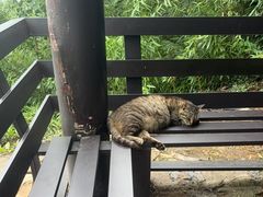 -缥缈峰景区