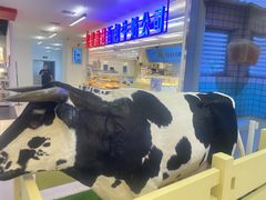 -红星前进面包牛奶公司(君太店)