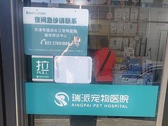 -瑞派长江宠物医院·猫科·外科·24小时夜护(谊城公寓分院)