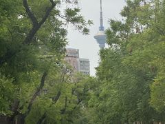 -天津五大道文化旅游区