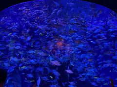 -成都浩海立方海洋公园