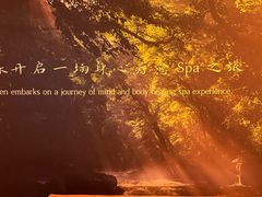 -沐森 •疗愈头疗馆(打浦桥店)