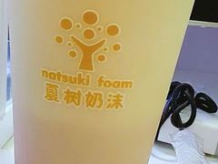 -夏树奶沫(杨柳青店)
