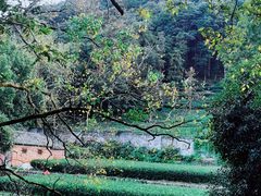 -随意茶庄·地道杭帮农家菜(梅家坞店)