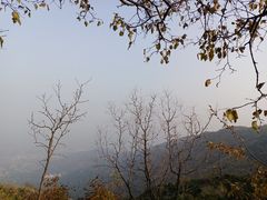 -香山公园