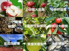 -天津北站