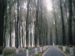 -东郊湿地公园