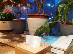 -云之南(八里庄店)