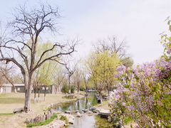 -三里河公园