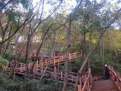-大岭沟猕猴桃谷风景区
