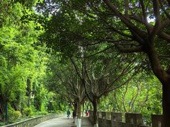 -白帝城·瞿塘峡景区