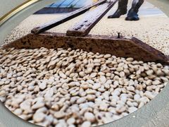 -星巴克(宝山万达店)