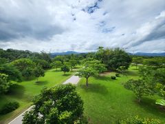 -中国科学院西双版纳热带植物园