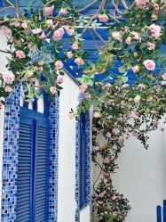 -城市花园婚纱摄影