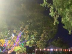 -蘇河湾·新鲁菜·泰山宴(泰山店)