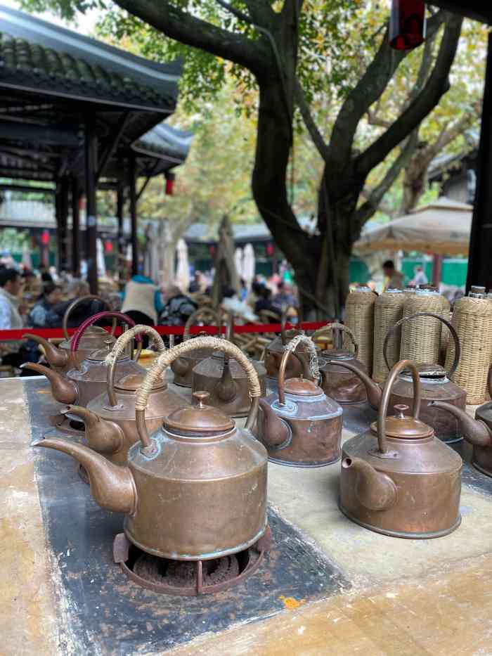 鹤鸣茶社(人民公园店)-"现代化和西化的精英对普通民众的这种悠哉乐.