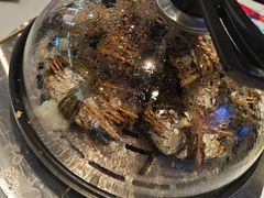-半岛听涛蒸汽海鲜自助(K11店)