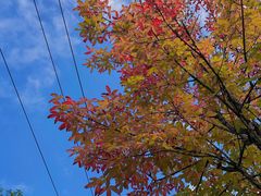 -吉林市朱雀山国家森林公园