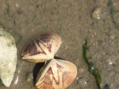 -北海金海湾红树林生态旅游区