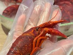 -红盔甲·小龙虾(车公庙店)