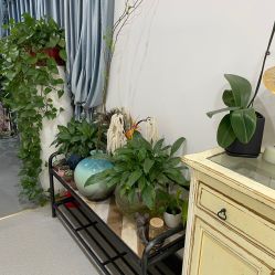 -北京炫美医疗美容