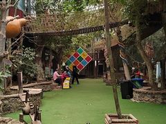 -呀路古热带植物园