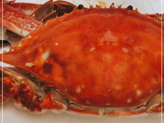 -北塘海鲜·天津菜(大光明桥旗舰店)