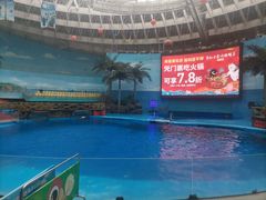 -海合安成都极地海洋公园