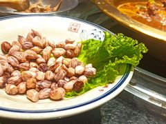-五福居羊蝎子(方庄店)