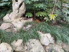 -赭山公园