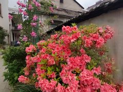 -东梓关景区村庄