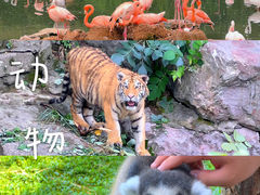 -宁波野生动物园