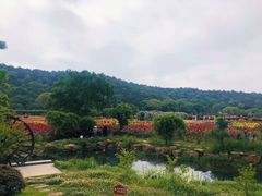 -龙寺生态园